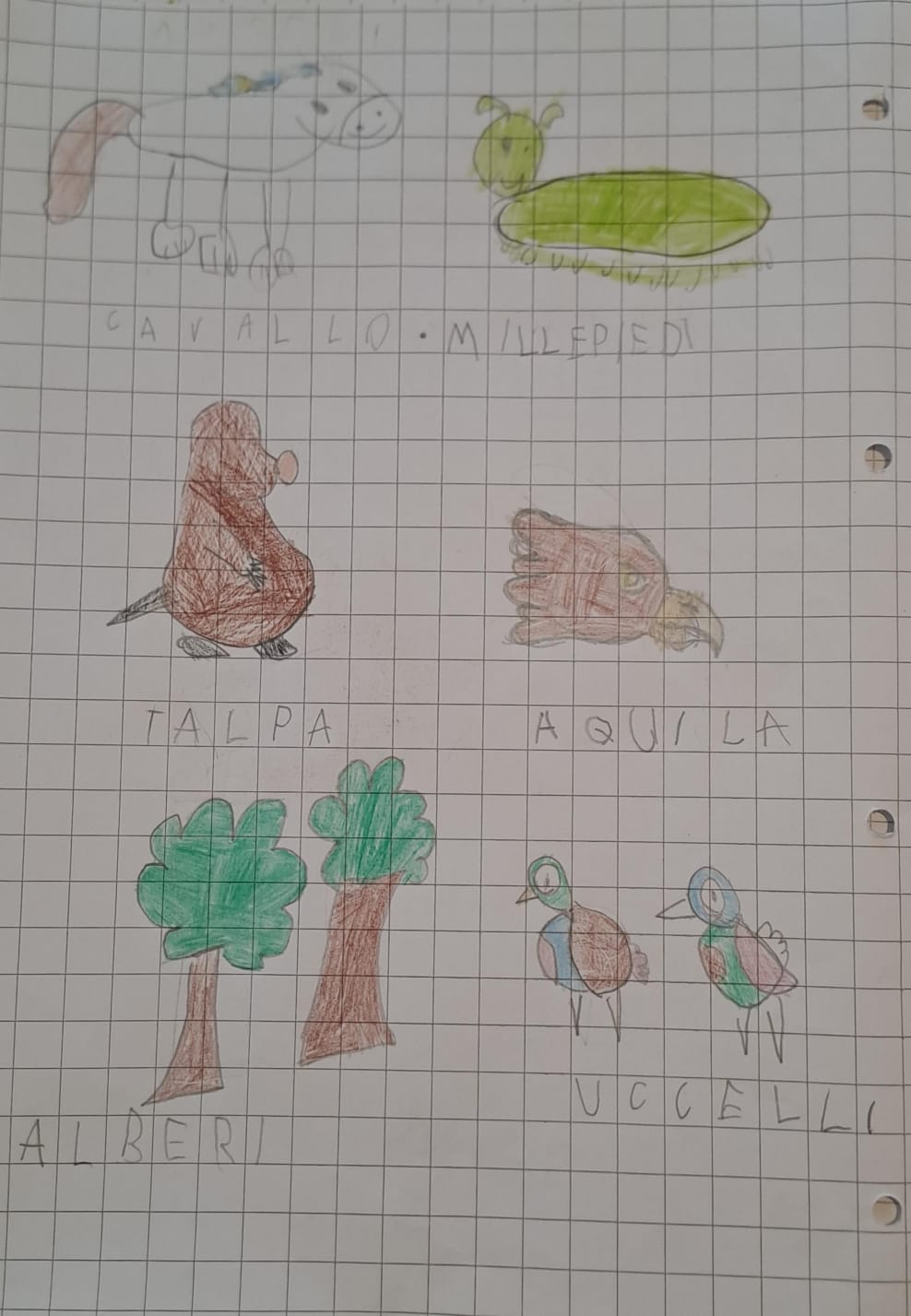 Un mese e più insieme a&nbsp;Giribù